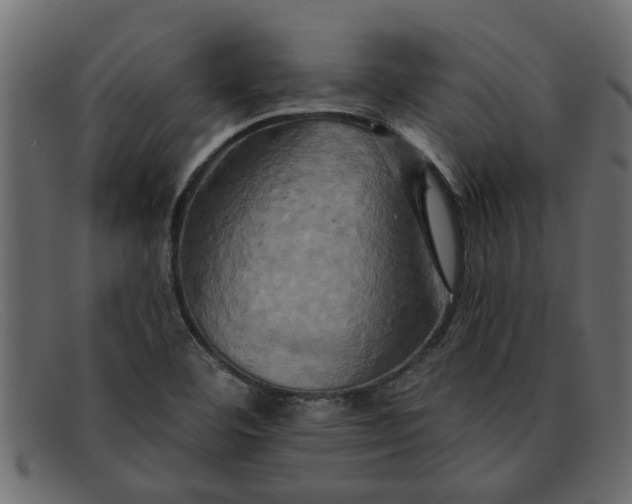 X0000091911460200709191311