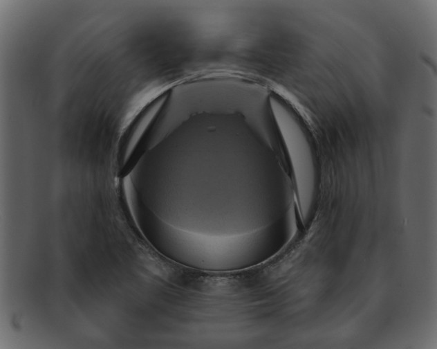 X0000091911461200709191310