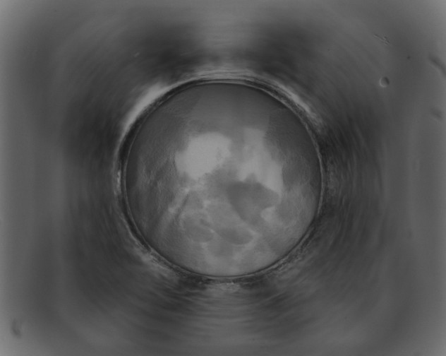 X0000091911462200709191310