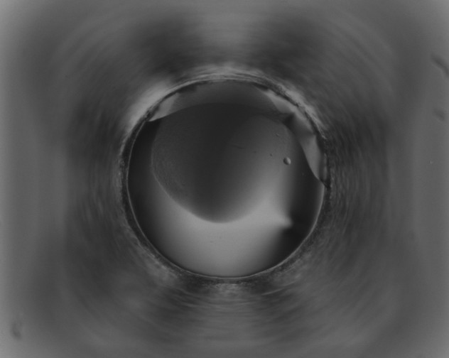 X0000091911463200709191310