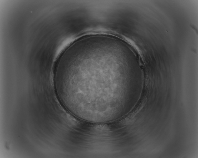 X0000091911464200709191310