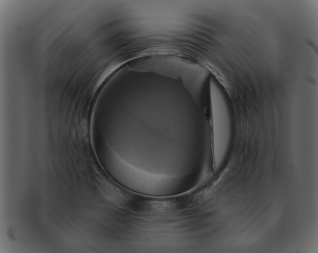 X0000091911465200709191310