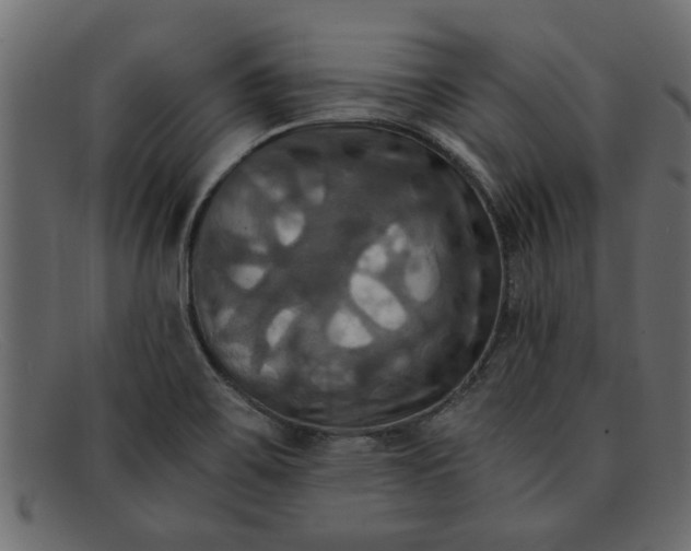 X0000091911467200709191310