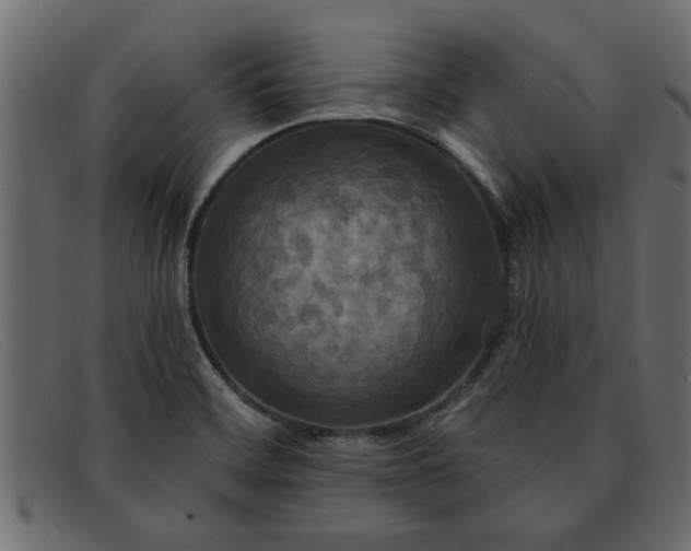 X0000091911468200709191310