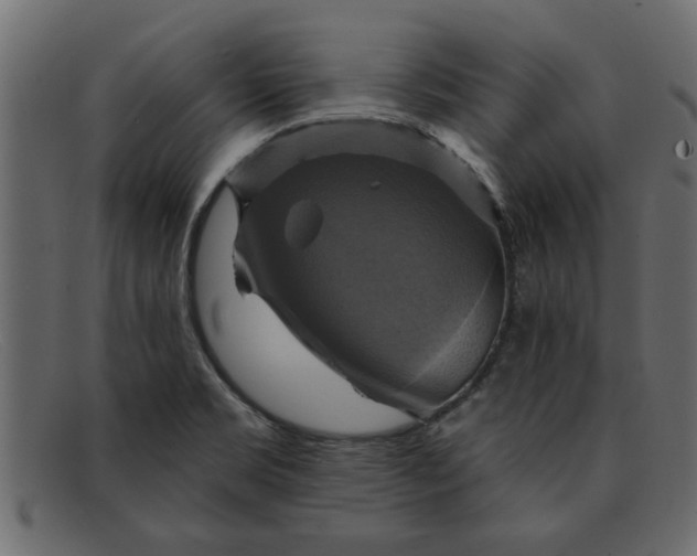 X0000091911469200709191310