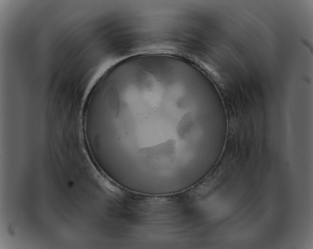 X0000091911470200709191310