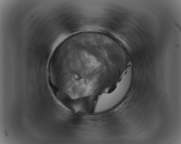 X0000091911471200709191310