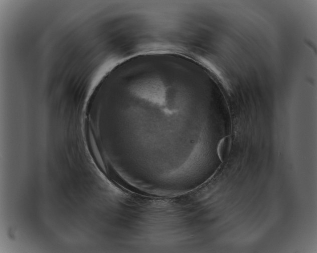 X0000091911472200709191310