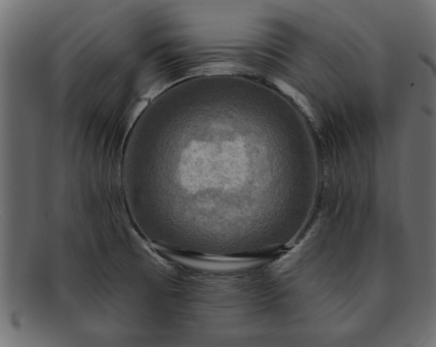 X0000091911473200709191310