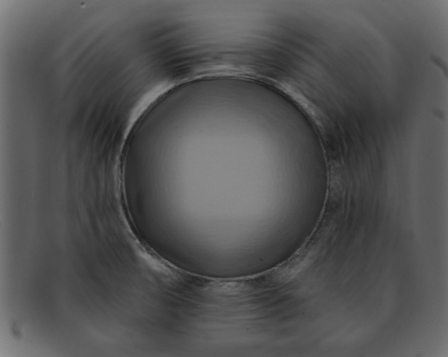 X0000091911474200709191310