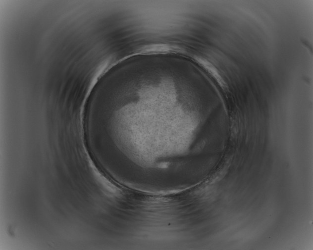 X0000091911475200709191310