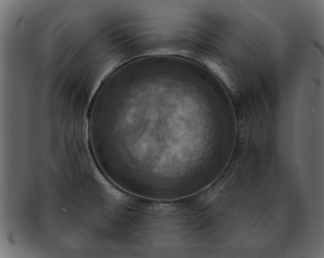 X0000091911476200709191310