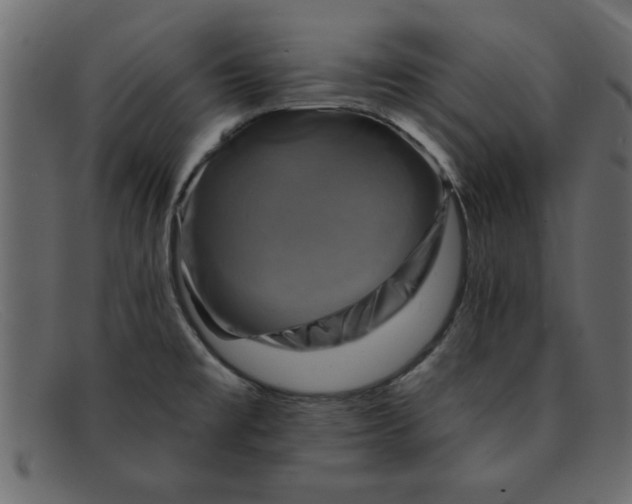 X0000091911477200709191310