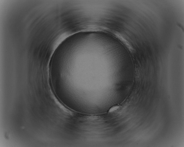 X0000091911479200709191310