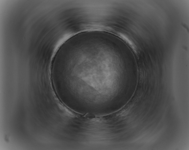 X0000091911480200709191310