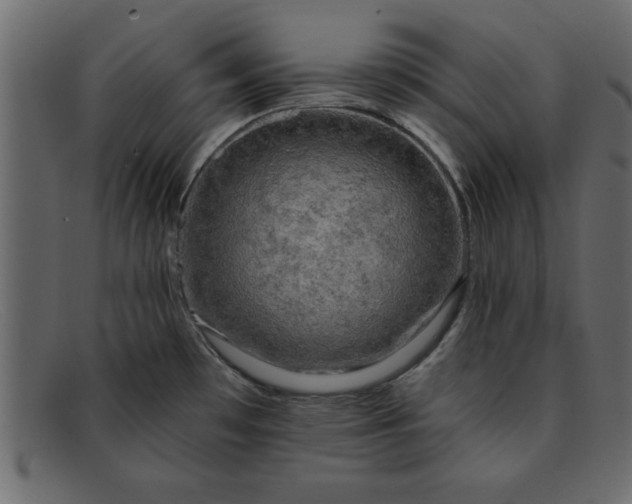 X0000091911481200709191310