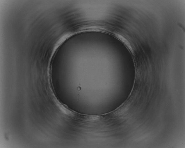 X0000091911482200709191310