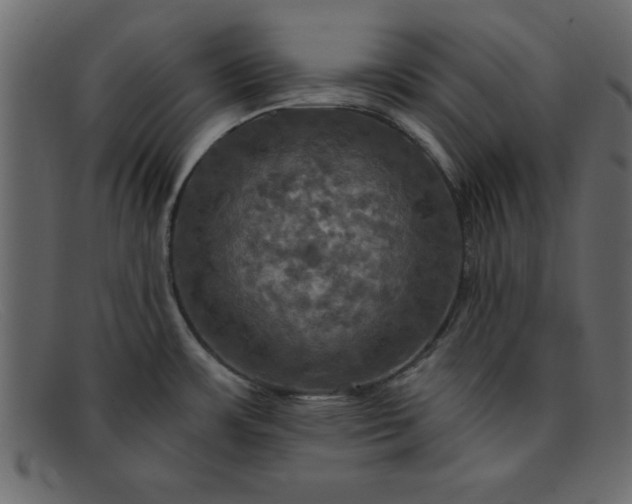 X0000091911483200709191310