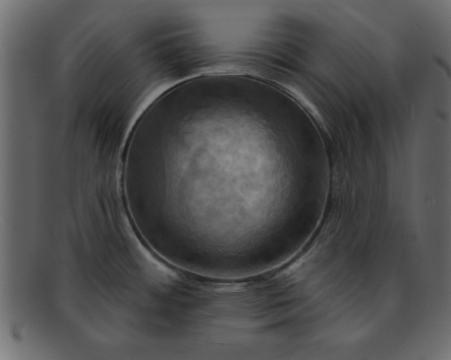 X0000091911484200709191310