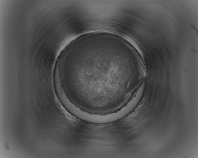 X0000091911485200709191310