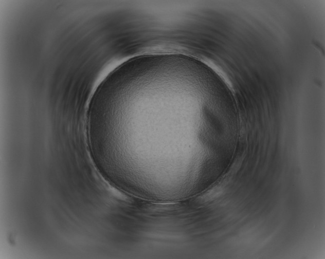 X0000091911486200709191310