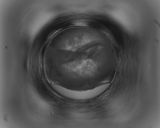 X0000091911487200709191310