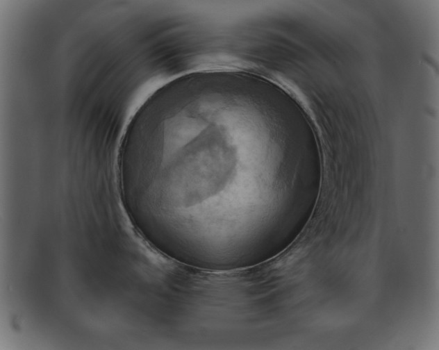 X0000091911488200709191310