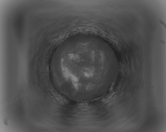 X0000091911489200709191309