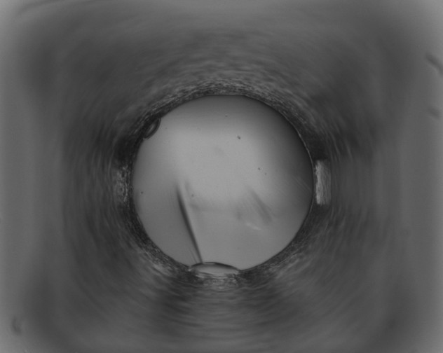 X0000091911491200709191309