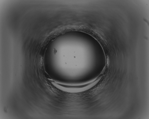 X0000091911492200709191309