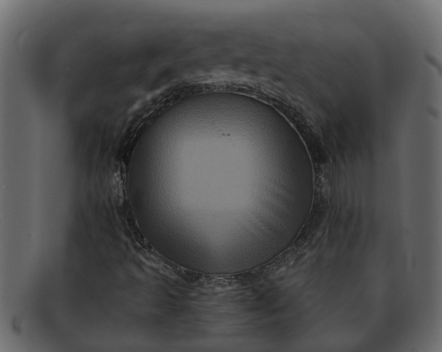 X0000091911493200709191309