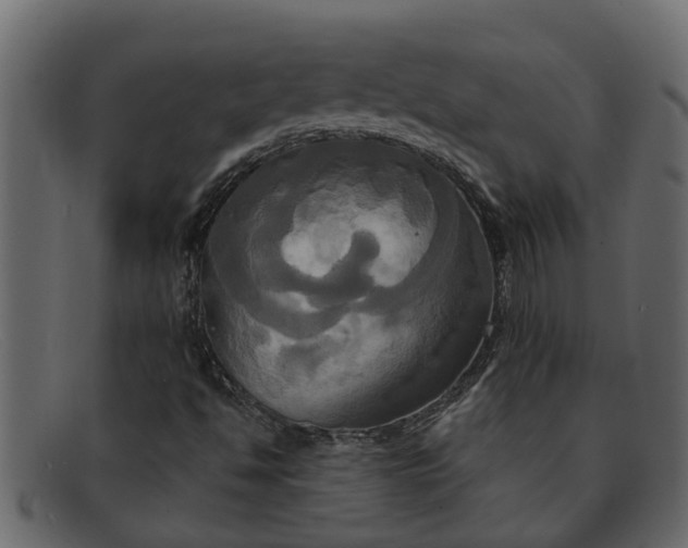 X0000091911494200709191309