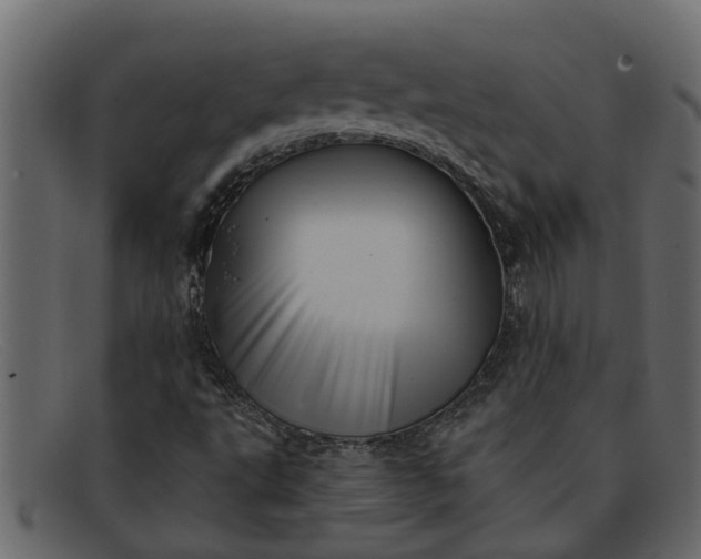 X0000091911495200709191309