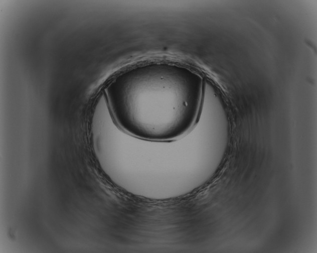 X0000091911496200709191309