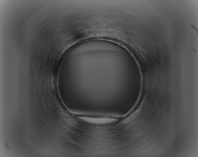 X0000091911497200709191309