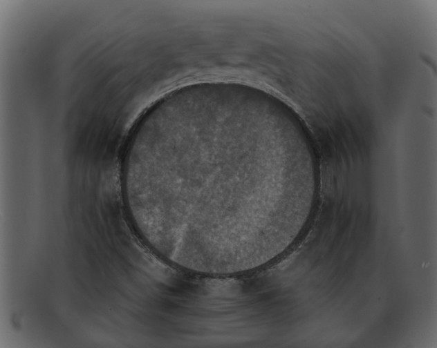 X0000091911498200709191309