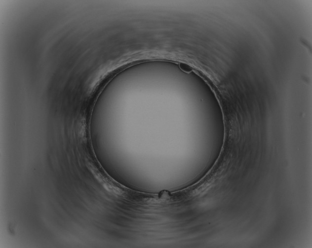 X0000091911499200709191309