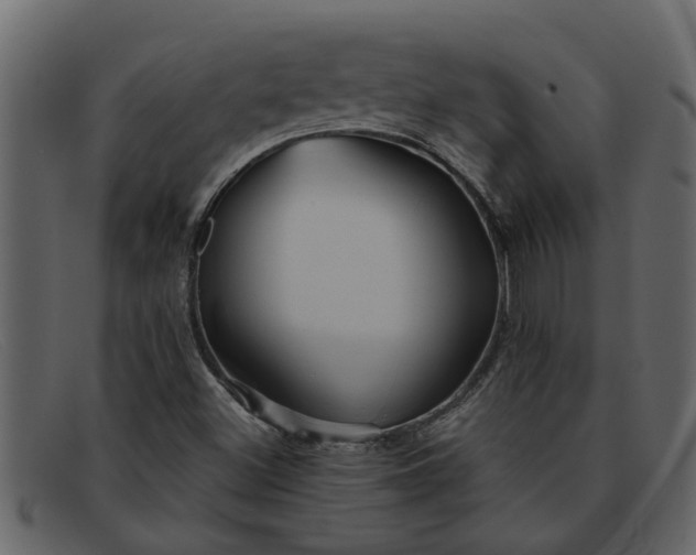 X0000091911500200709191309