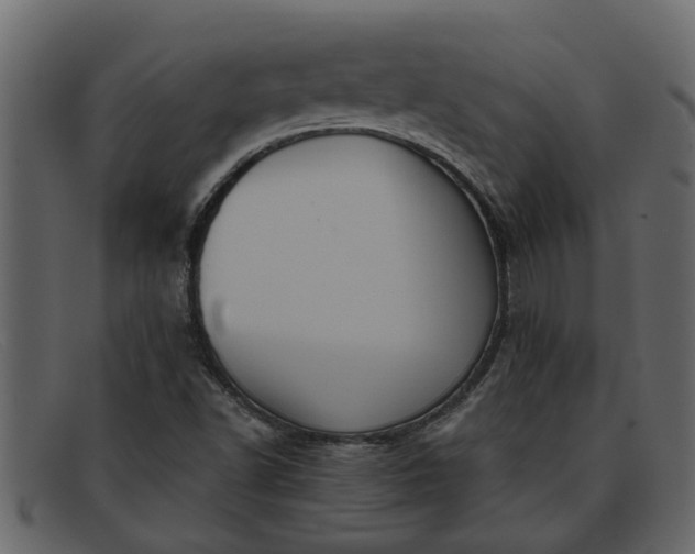 X0000091911502200709191309