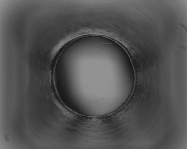 X0000091911503200709191309