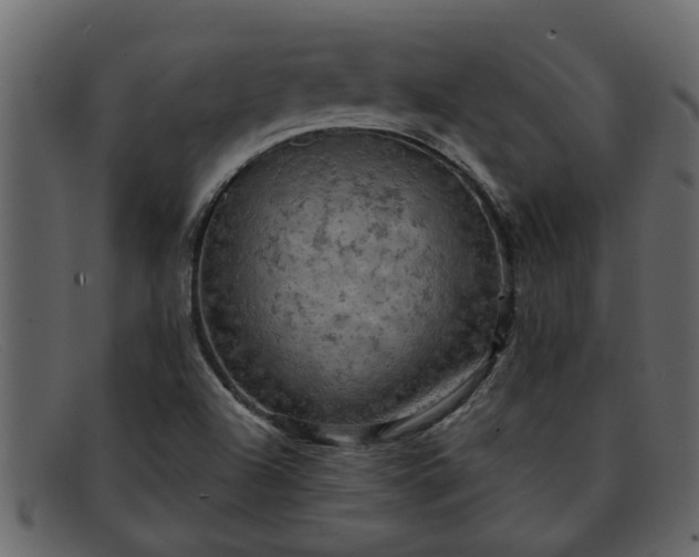 X0000091911504200709191310