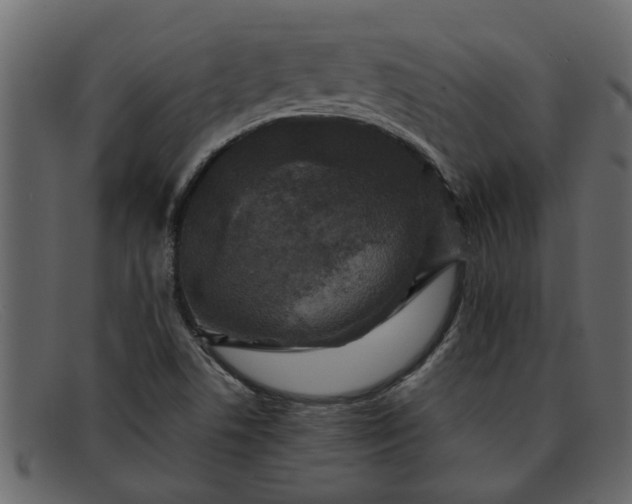 X0000091911506200709191310