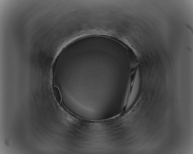 X0000091911508200709191310