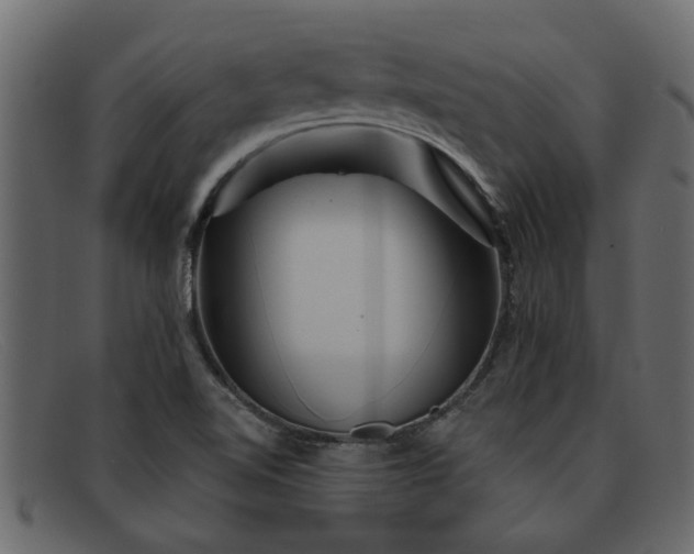 X0000091911510200709191310