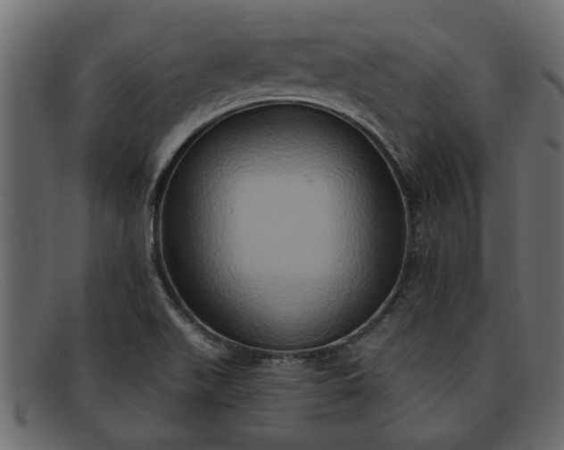 X0000091911511200709191310