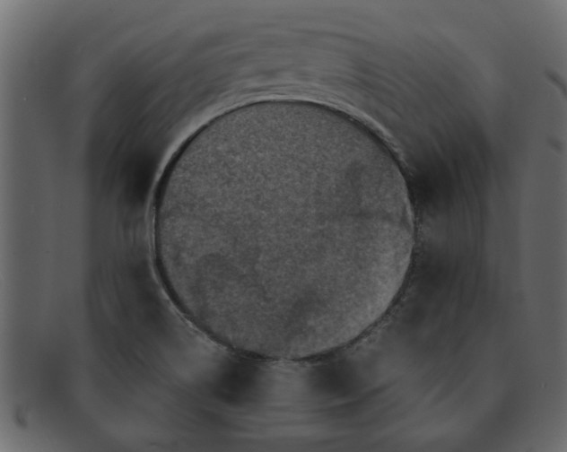 X0000091911514200709191310