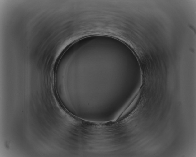 X0000091911515200709191310