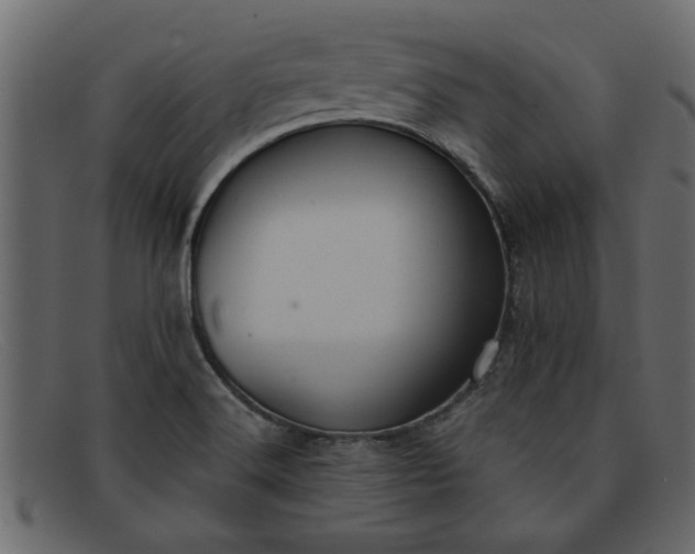 X0000091911516200709191310