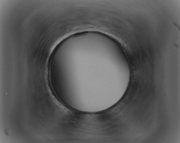 X0000091911518200709191310