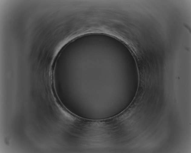 X0000091911519200709191310